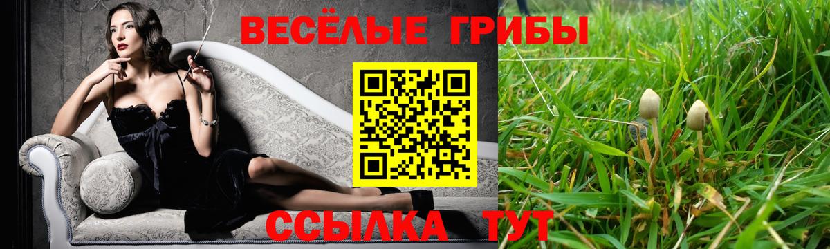 Галлюциногенные грибы мицелий Удомля