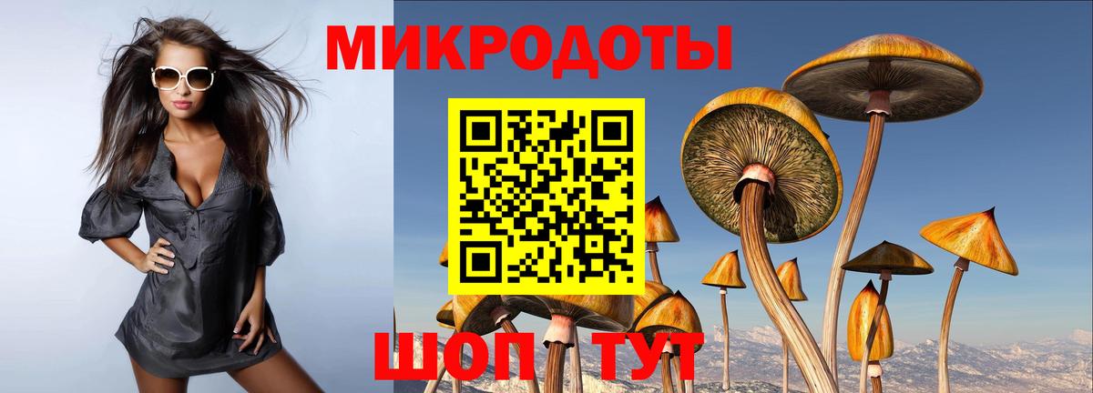 Галлюциногенные грибы MAGIC MUSHROOMS  Вход с VPN  Удомля  купить наркотик  Галлюциногенные грибы ЛСД 